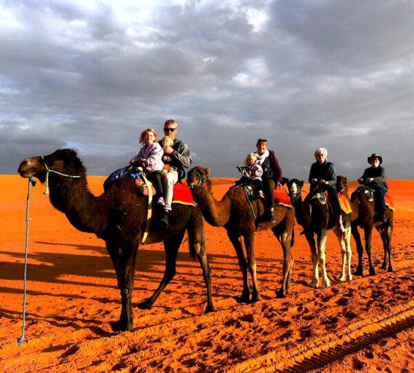 camel desert tours from Casablanca