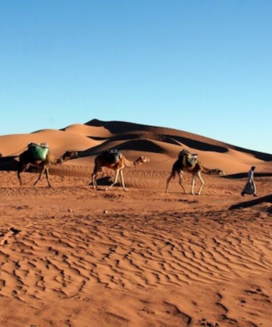 morocco