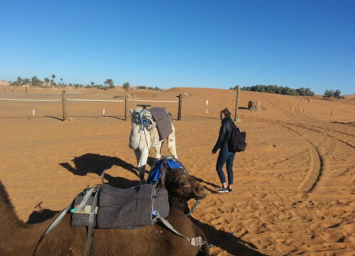morocco tours