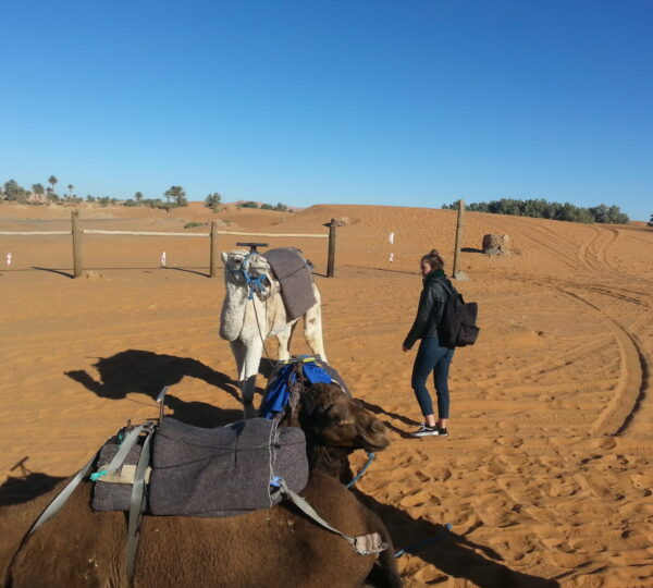 morocco tours