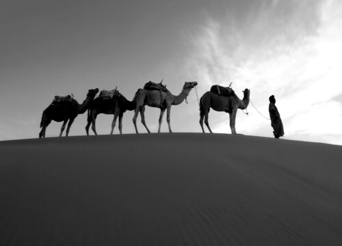 morocco tours