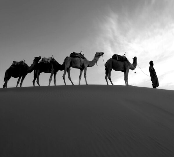 morocco tours