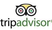 tripadvisor