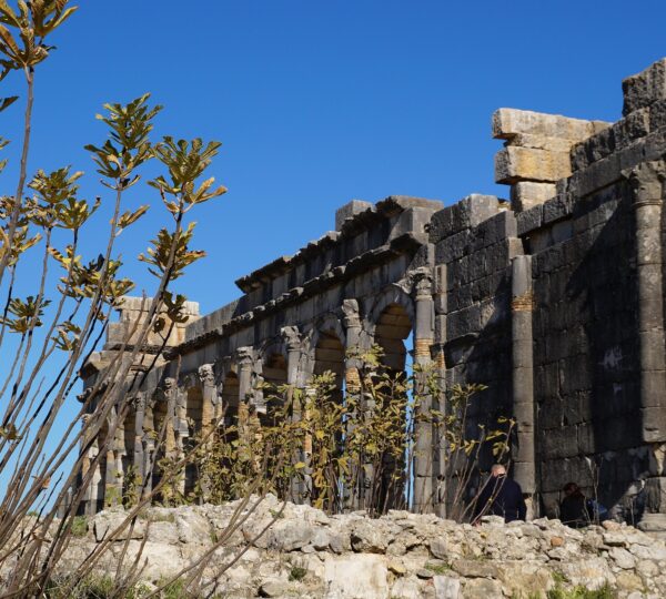 volubilis
