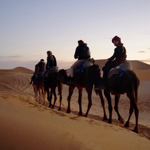 3 days desert tour camel Fes to Imperial Cities