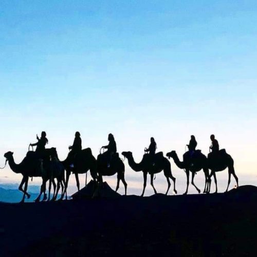 morocco Marrakech to Tangier