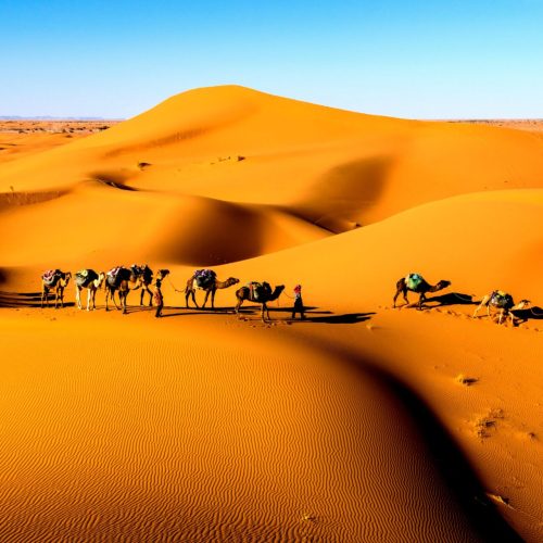 desert Marrakech to Sahara Desert