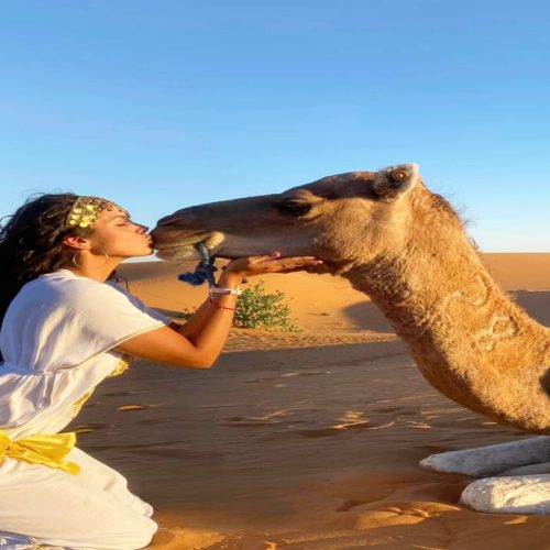 desert