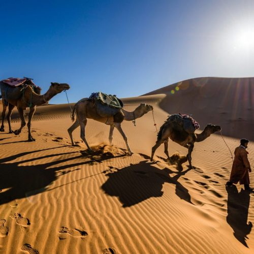 merzouga dunes