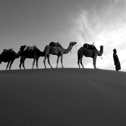 6 days desert tour from fes