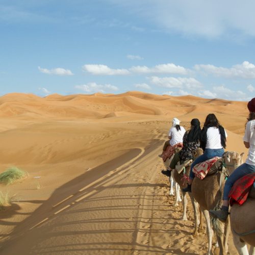 tours from marrakech