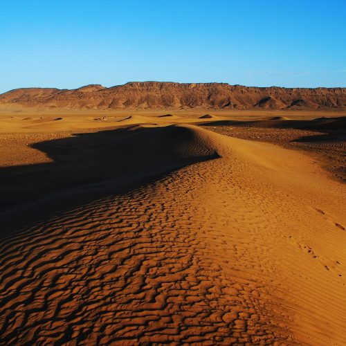 zagora desert tours
